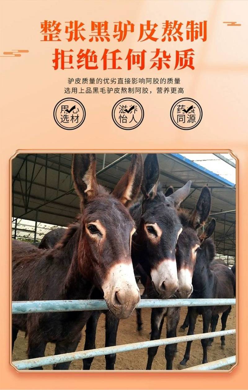 山东阿胶东阿特产东阿阿胶256克铁盒装即食阿胶熬糕专用