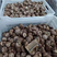 陕西精品鲜香菇大量供货可视频看货新鲜采摘欢迎咨询