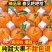 四川春见耙耙柑2023年11月10日开始发货，一件代发