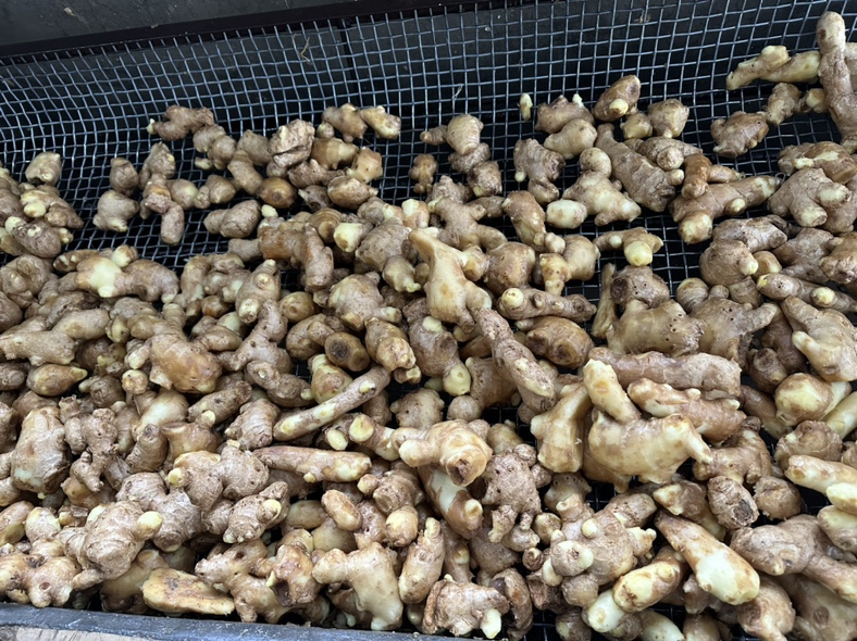 老姜红枣水制作过程示意图