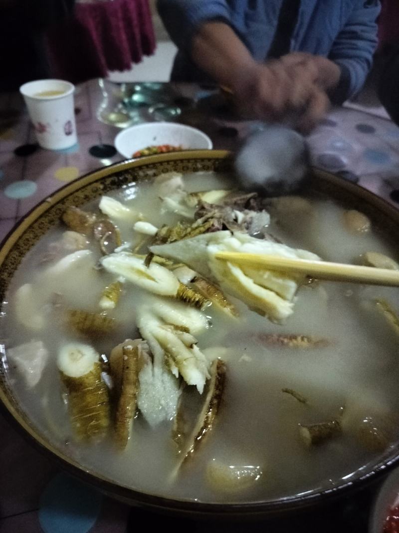 会东高海拔甜当归产地直发现挖现发欢迎咨询