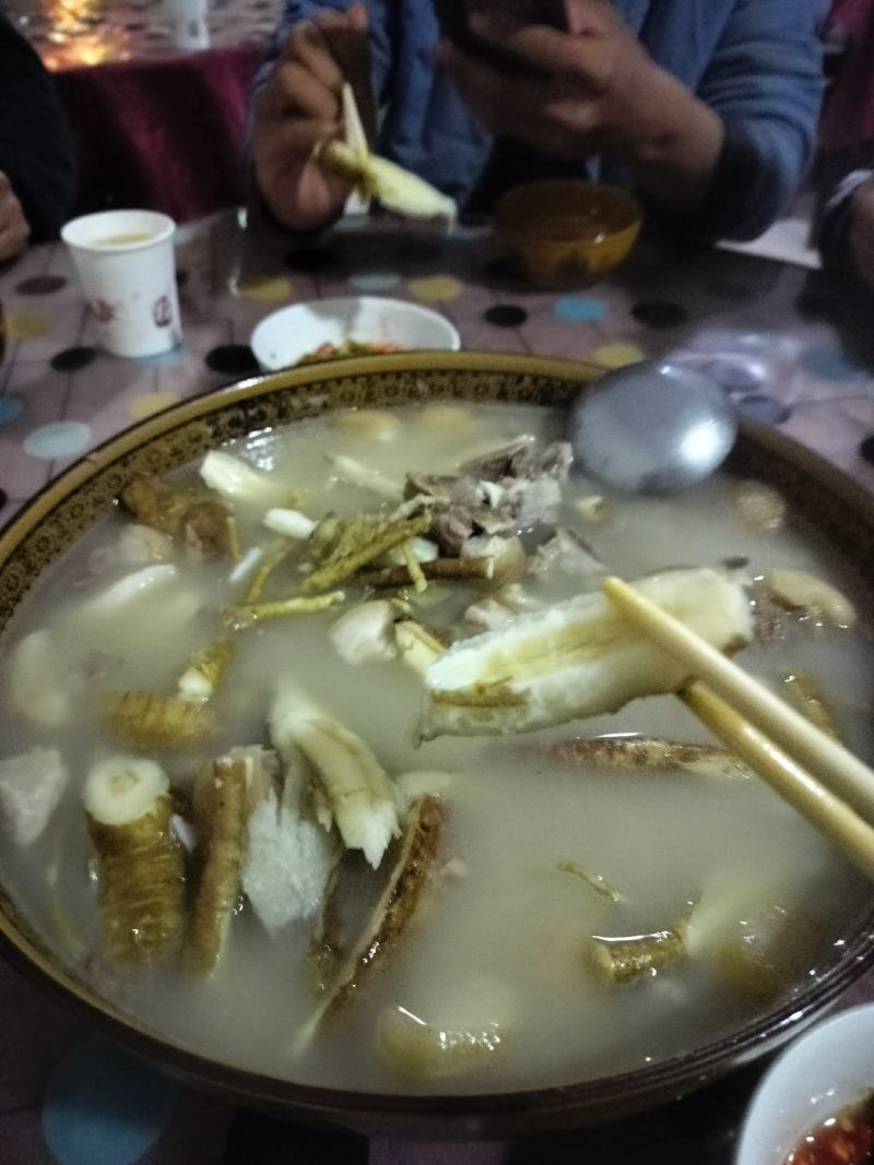 会东高海拔甜当归产地直发现挖现发欢迎咨询