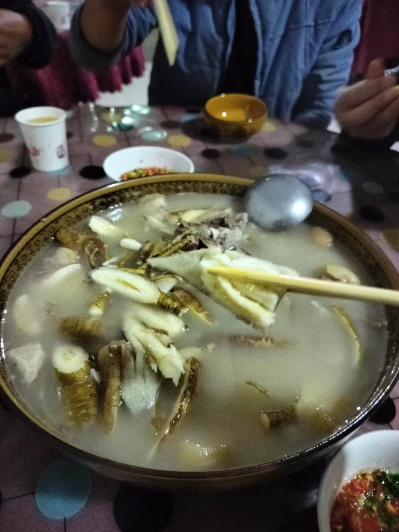 会东高海拔甜当归产地直发现挖现发欢迎咨询
