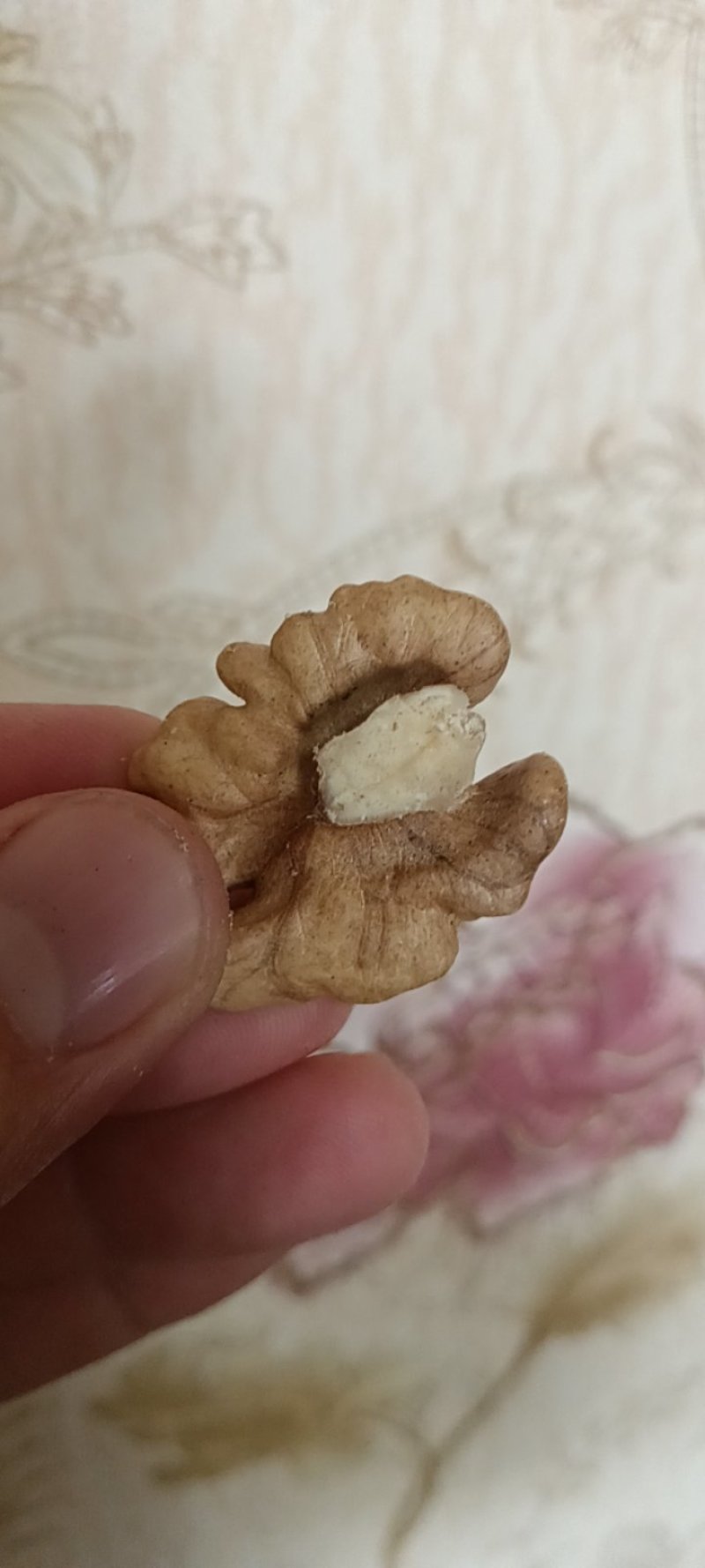和田核桃