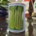 芹菜苗，生菜苗，基地直发品种齐全