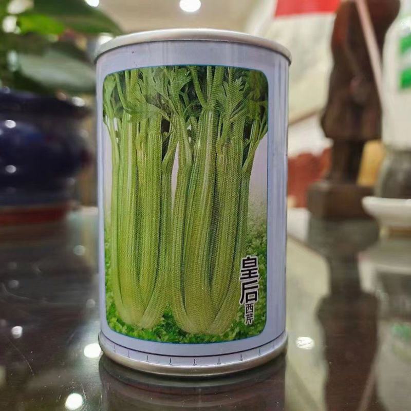 芹菜苗，生菜苗，基地直发品种齐全