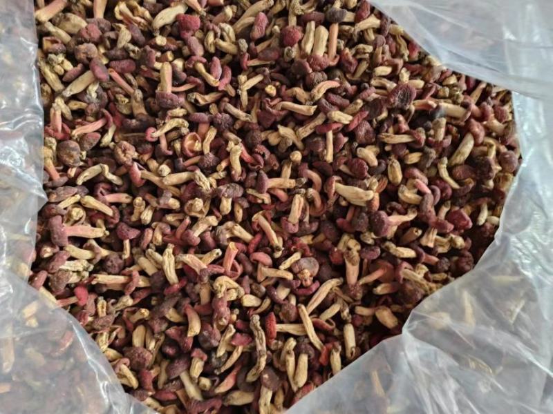 精选红小菇蘑菇食用菌鲜货干货规格齐全原产地发货欢迎联系