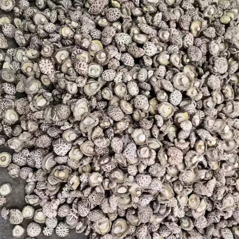 白花菇干香菇食用菌干货原产地直销大量供应保质保量