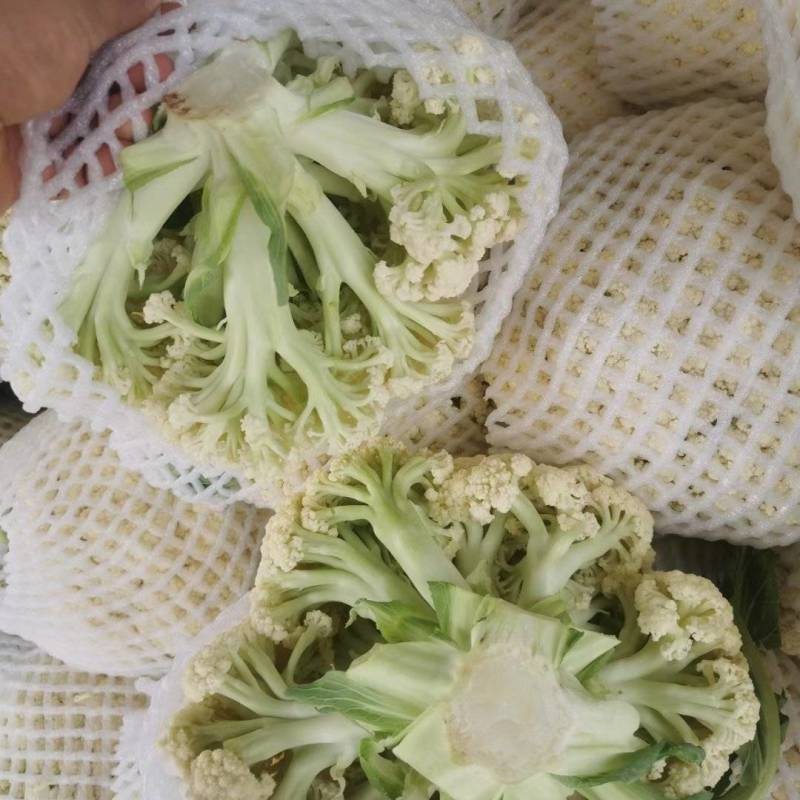 精品有机花
