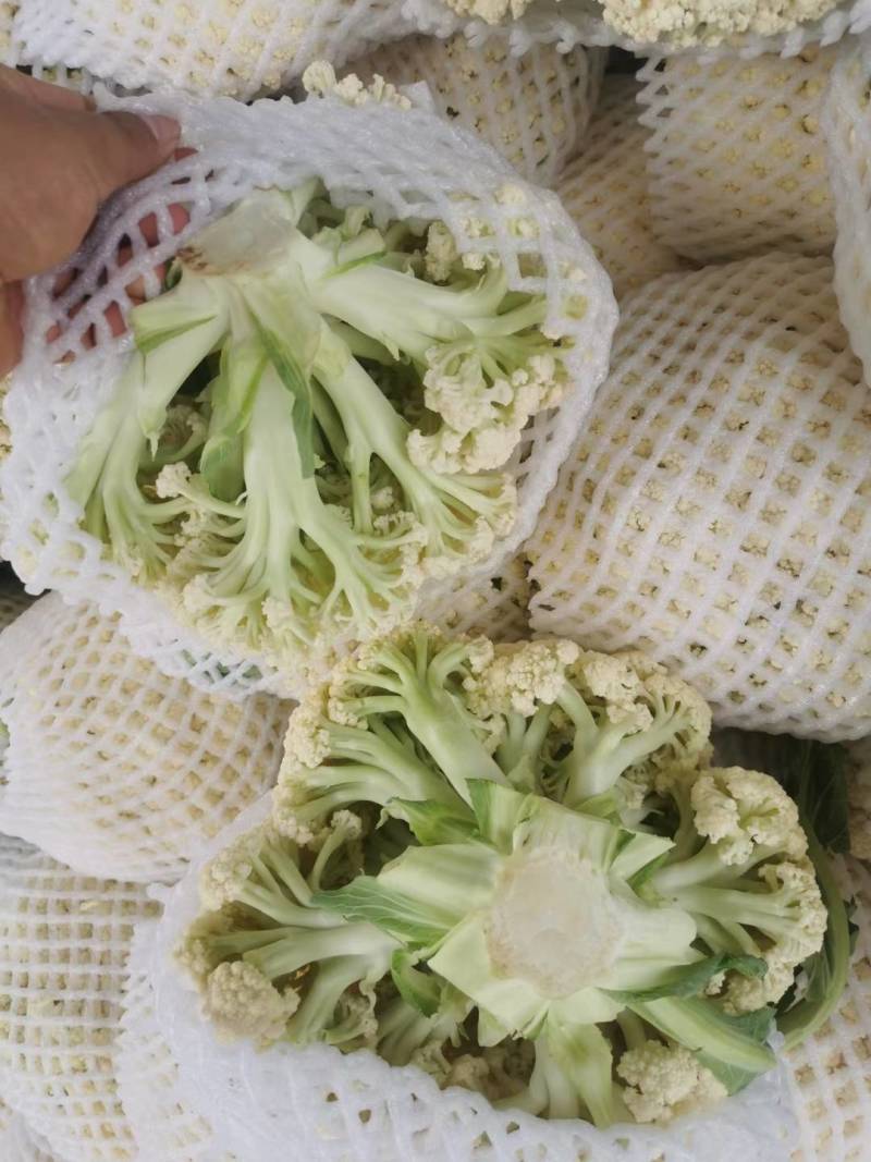 精品有机花