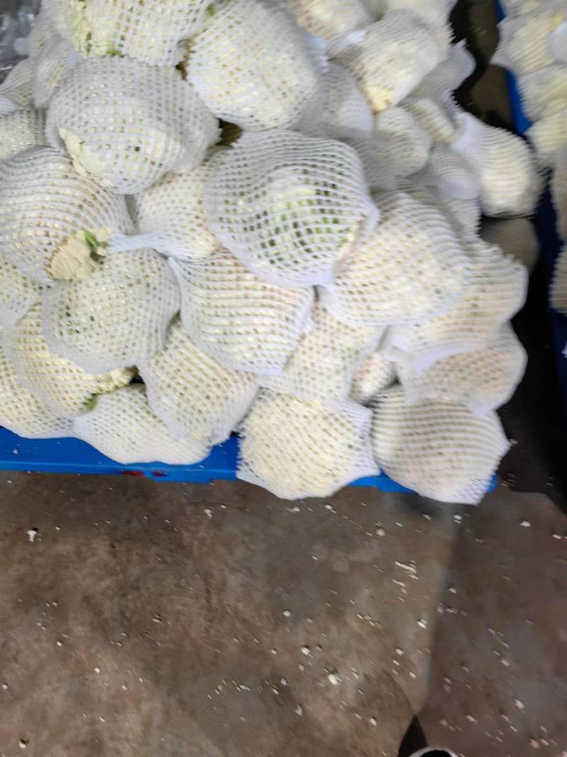 精品有机花