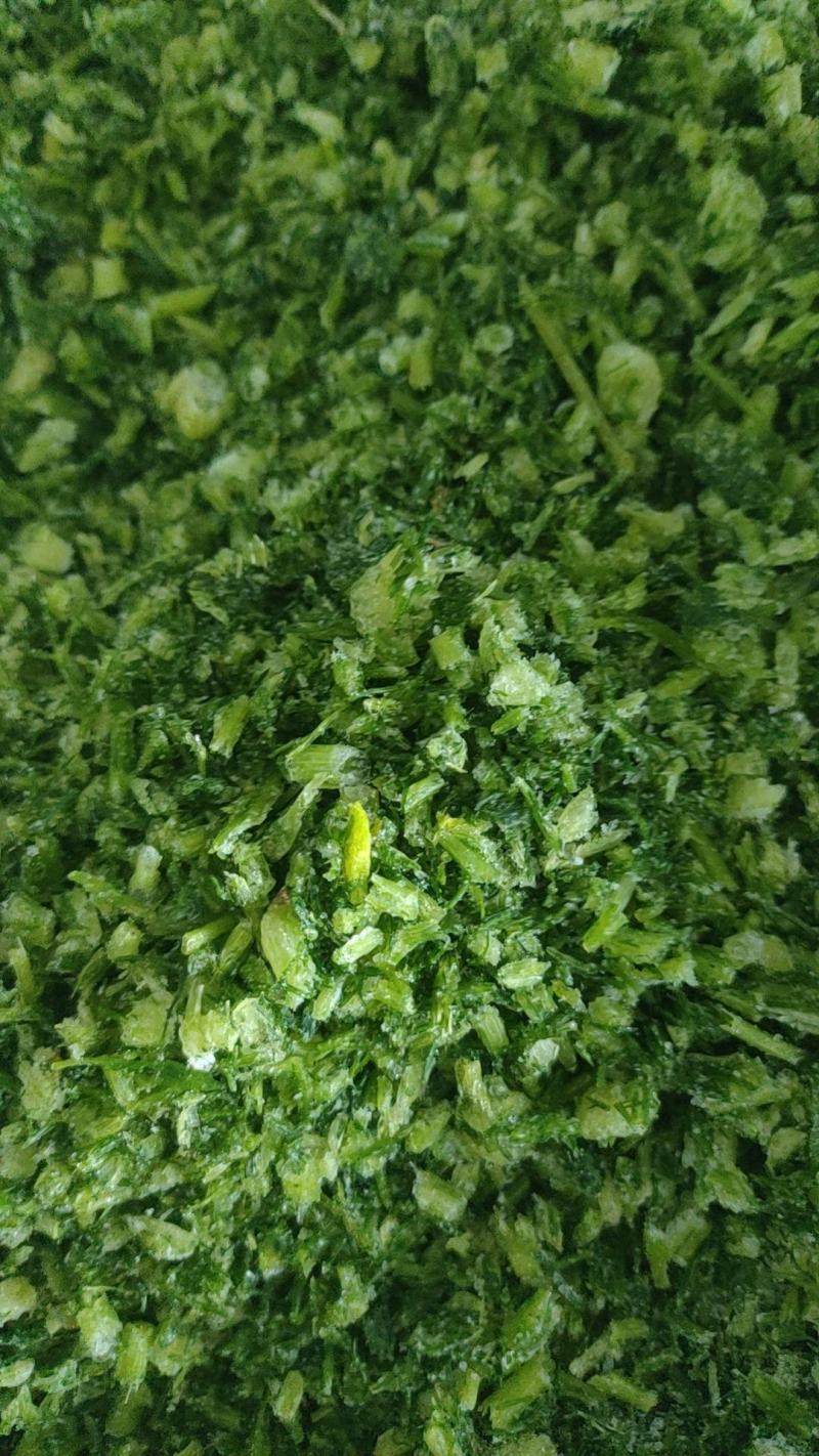 速冻茴香冷冻新鲜茴香新鲜茴香馅馄饨饺子馅茴香馅