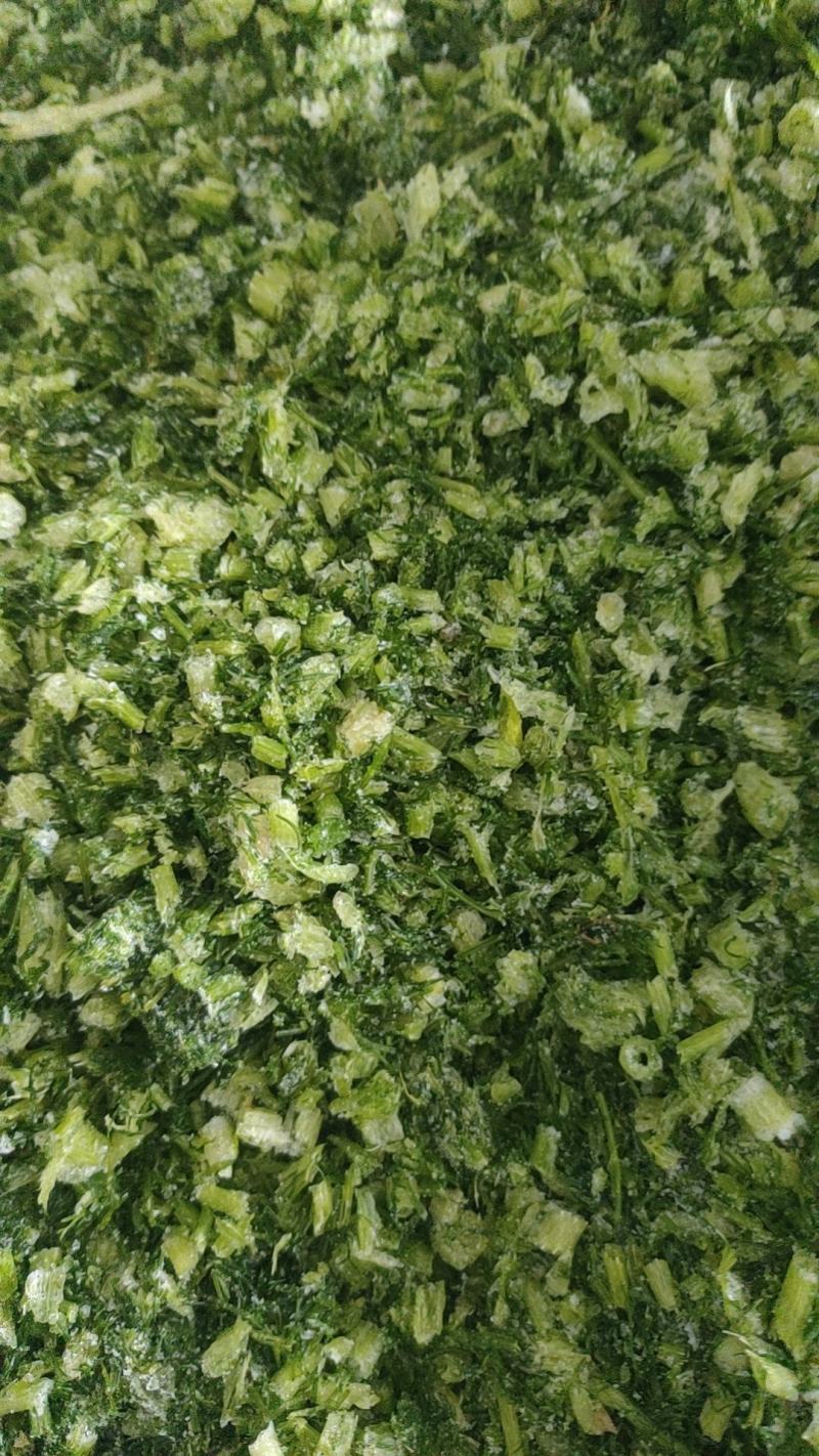 速冻茴香冷冻新鲜茴香新鲜茴香馅馄饨饺子馅茴香馅