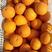红橙湖北脐橙九月红脐橙产区直发对接商超社团代收全国
