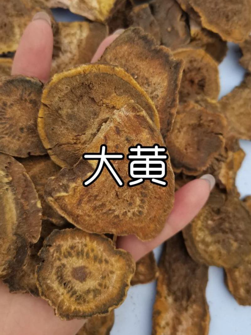 【包邮】大黄新货中药材大黄批发马蹄黄，一件代发长期合作