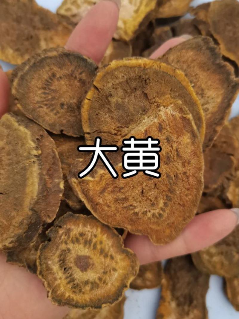 【包邮】大黄新货中药材大黄批发马蹄黄，一件代发长期合作