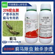 中迅20%啶虫脒农药杀虫剂抗性蓟马药农用强效杀虫剂高含量
