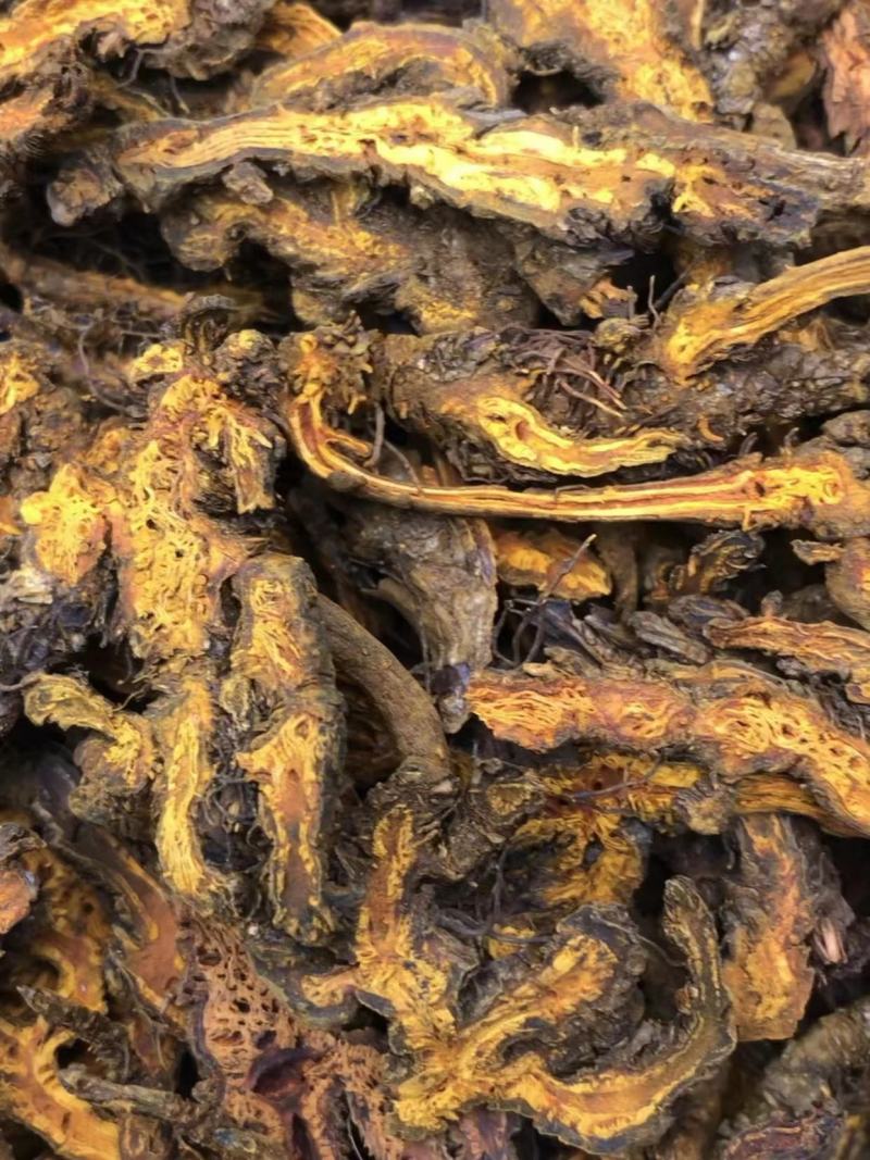 【包邮】黄连味连鸡爪黄连粉等大量有货品种齐全欢迎下单订购