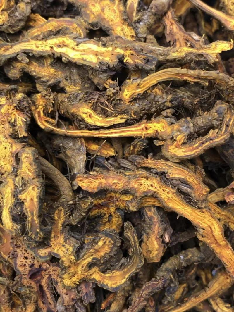 【包邮】黄连味连鸡爪黄连粉等大量有货品种齐全欢迎下单订购