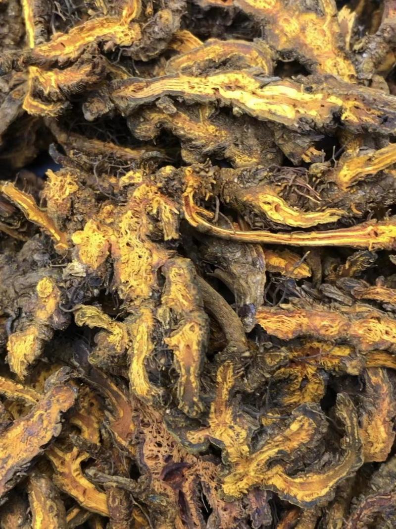 【包邮】黄连味连鸡爪黄连粉等大量有货品种齐全欢迎下单订购