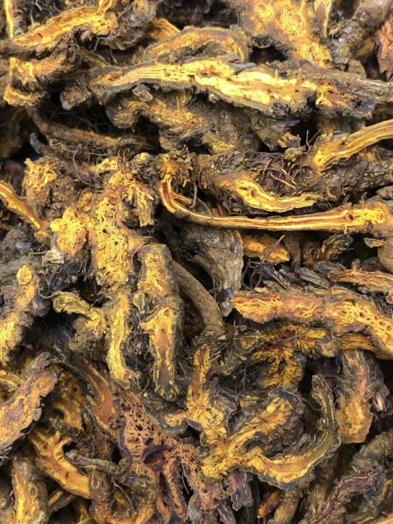 【包邮】黄连味连鸡爪黄连粉等大量有货品种齐全欢迎下单订购