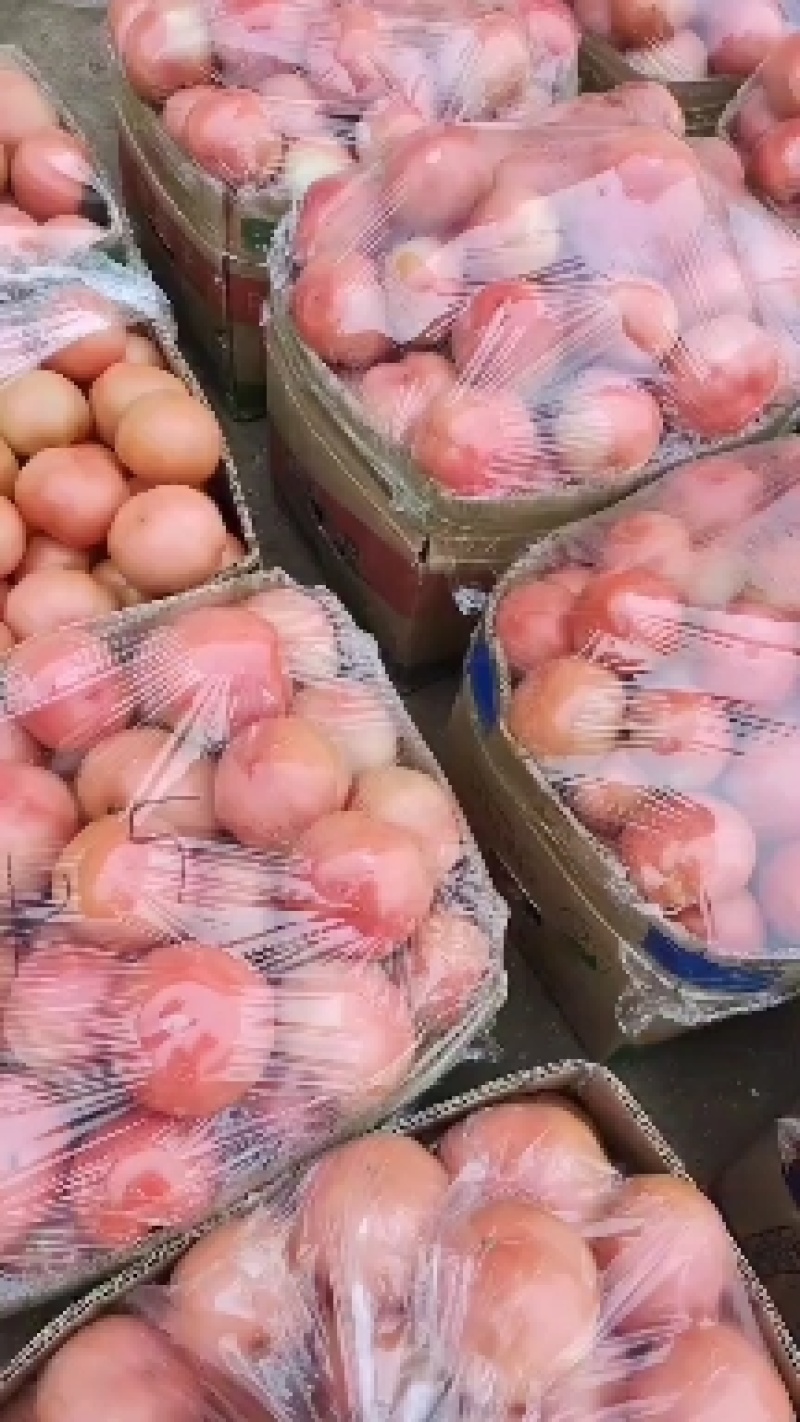 精品西红柿
