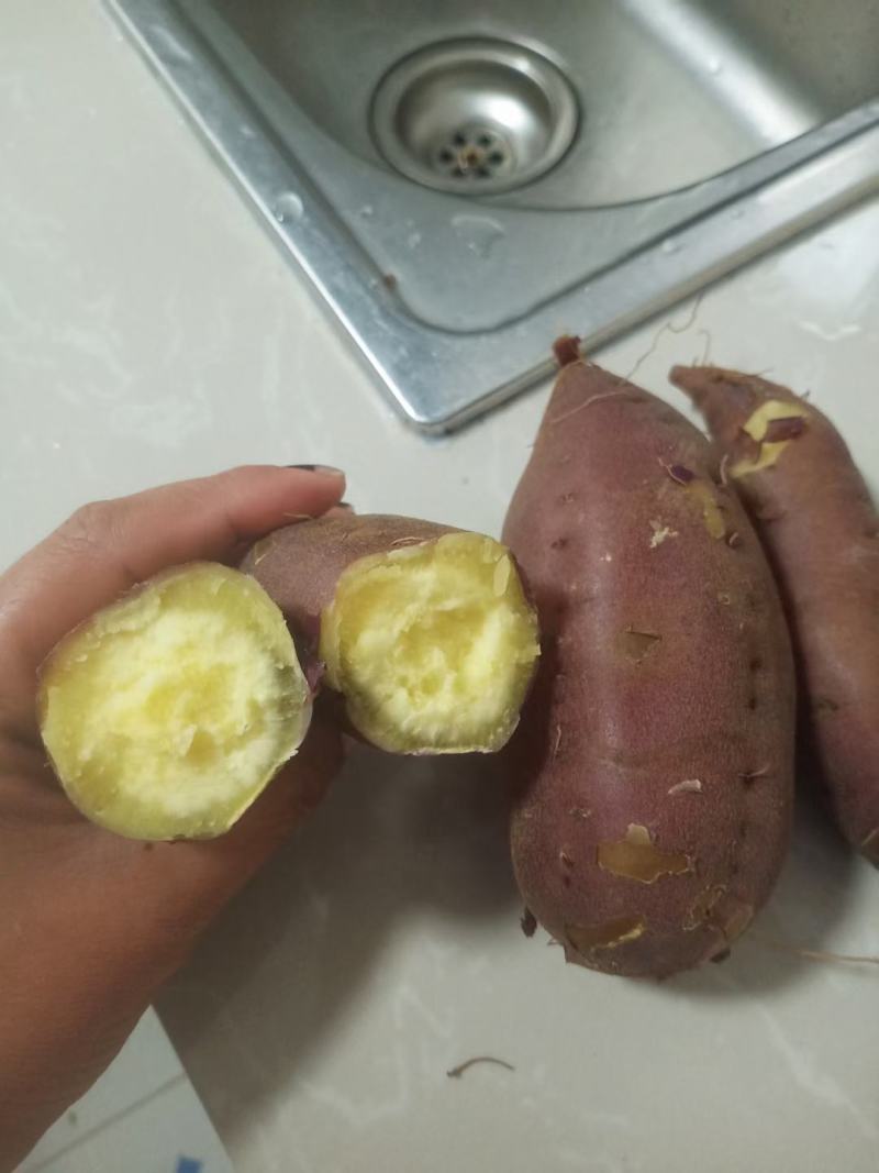 高系14有货一百亩多亩准备开挖自家种的，有看上的老板速联