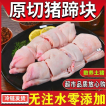 猪蹄块带筋带尖猪脚新鲜猪爪免切猪蹄冷冻食品