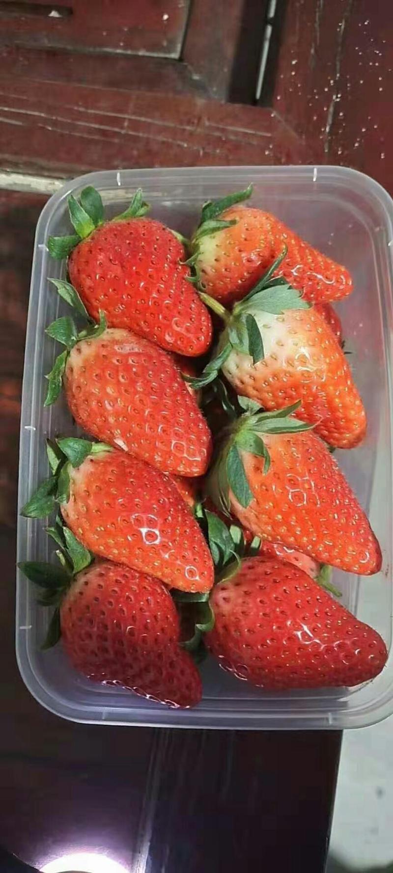 草莓，香甜可口的奶油草莓，诚邀全国各地水果批发订购。