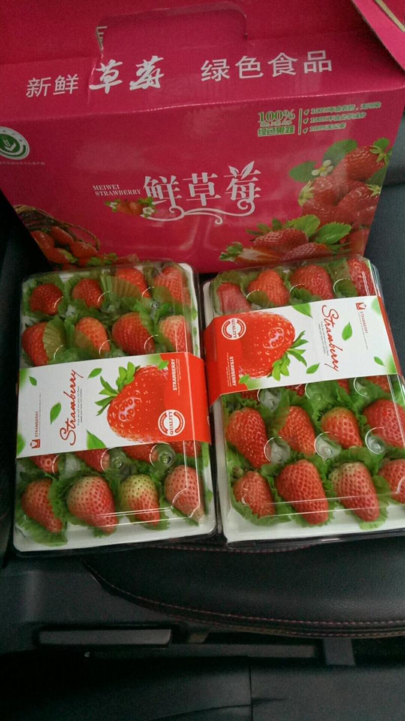 草莓，香甜可口的奶油草莓，诚邀全国各地水果批发订购。