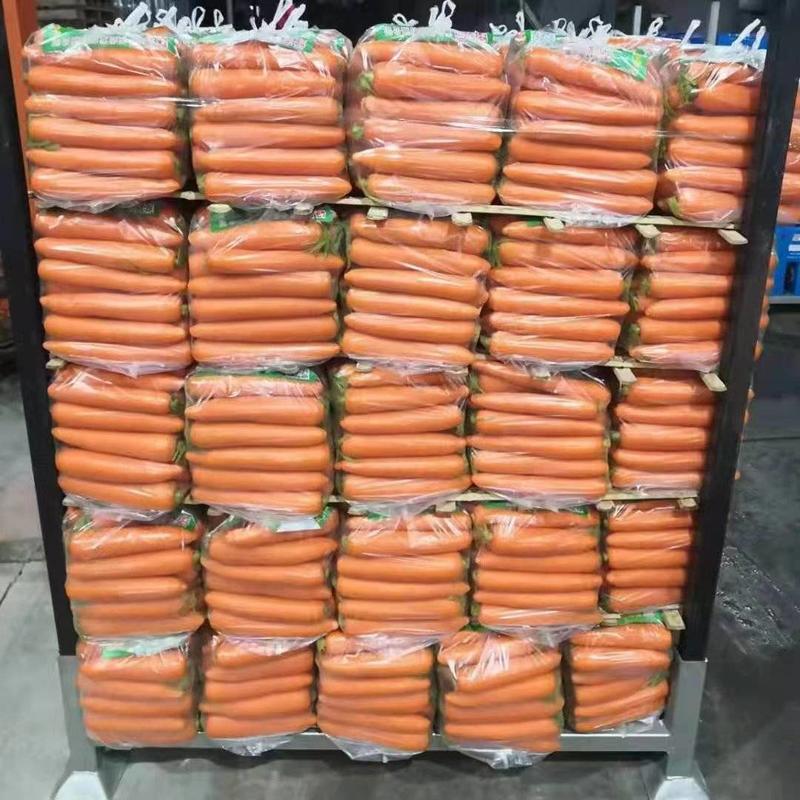 福建厦门红萝卜，本加工厂有专业打包团队，满足客户所需