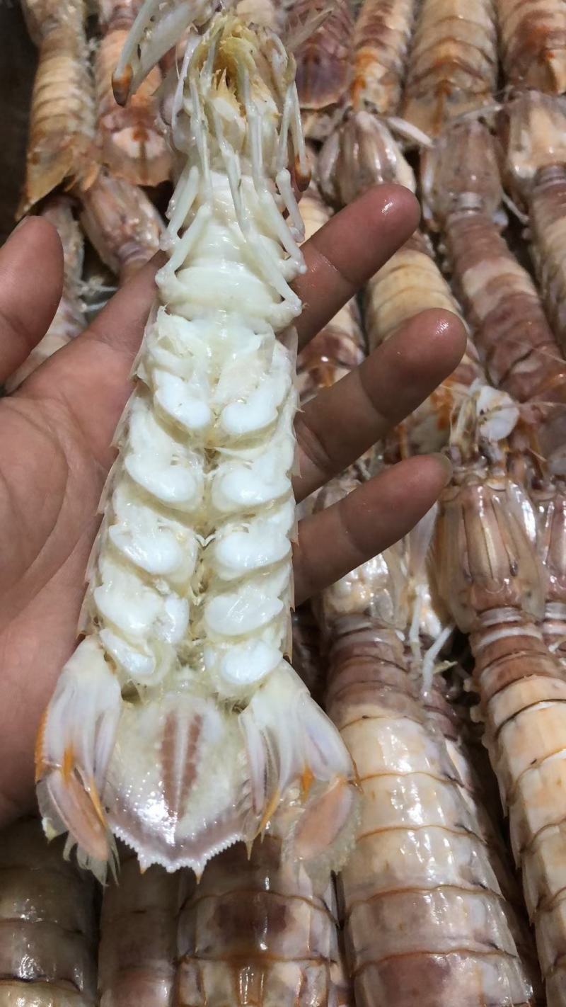 满膏皮皮虾