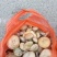野生松树菌