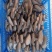 平菇熟料菌棒