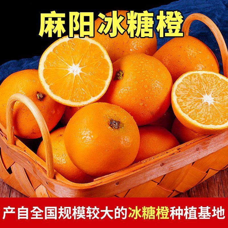 【现货速发】麻阳冰糖橙爆甜多汁规格多样量大从优电联