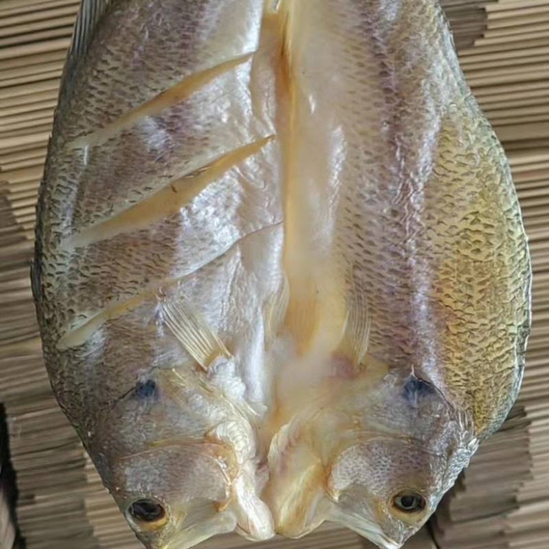 开边鲈鱼干展会地摊电商开边鲈鱼干鱼头鲈鱼卢肉加洲鲈鱼干