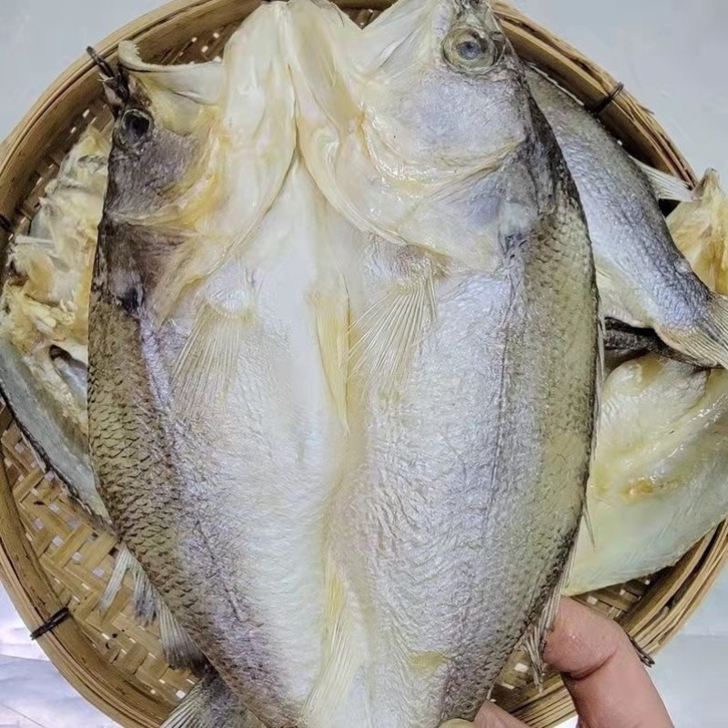 开边鲈鱼干展会地摊电商开边鲈鱼干鱼头鲈鱼卢肉加洲鲈鱼干