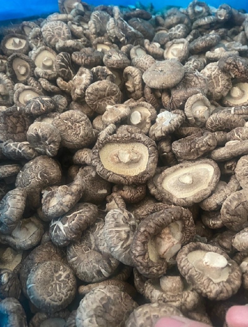 精选，干香菇