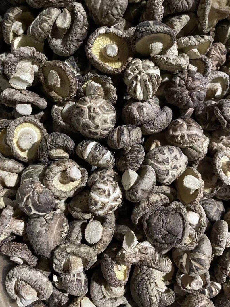 精选，干香菇