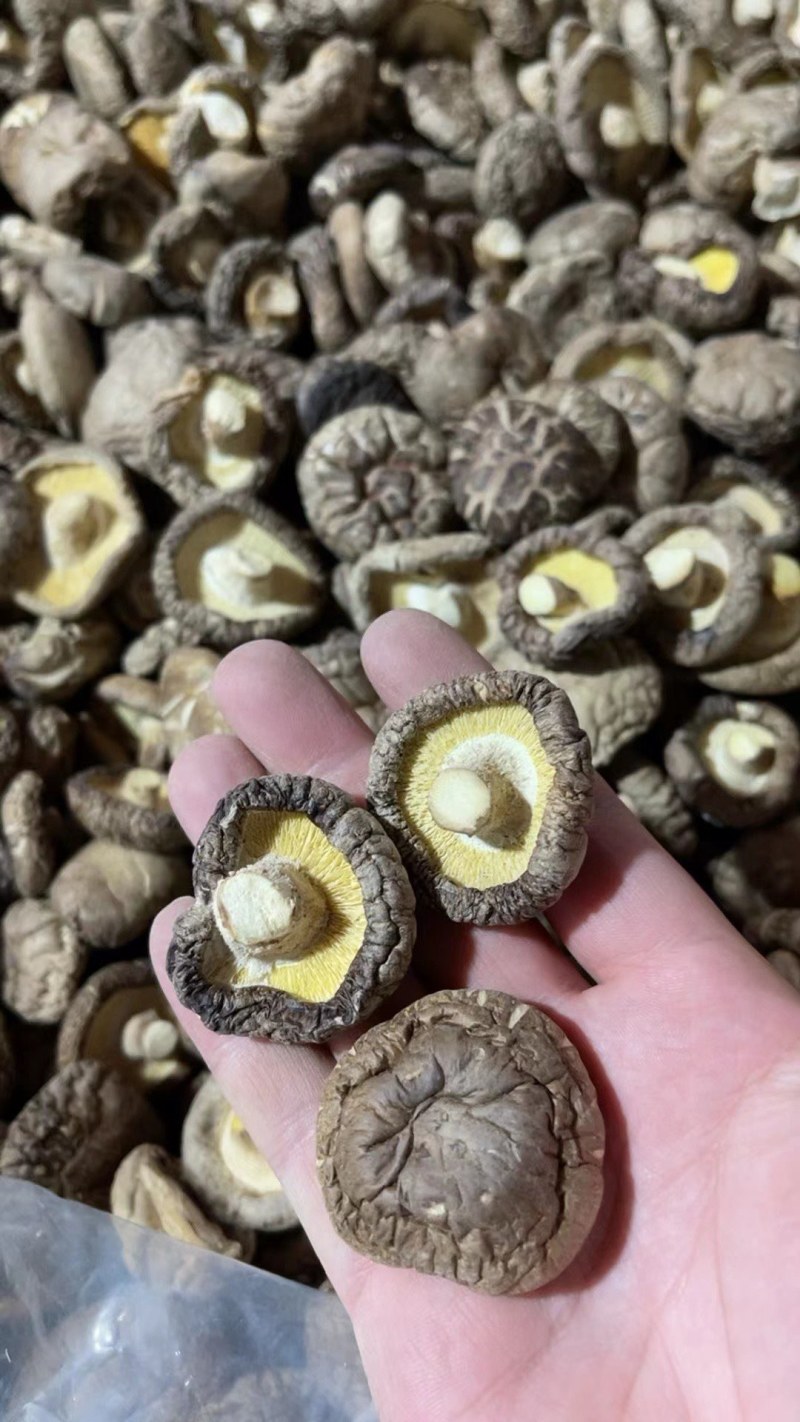 精选，干香菇
