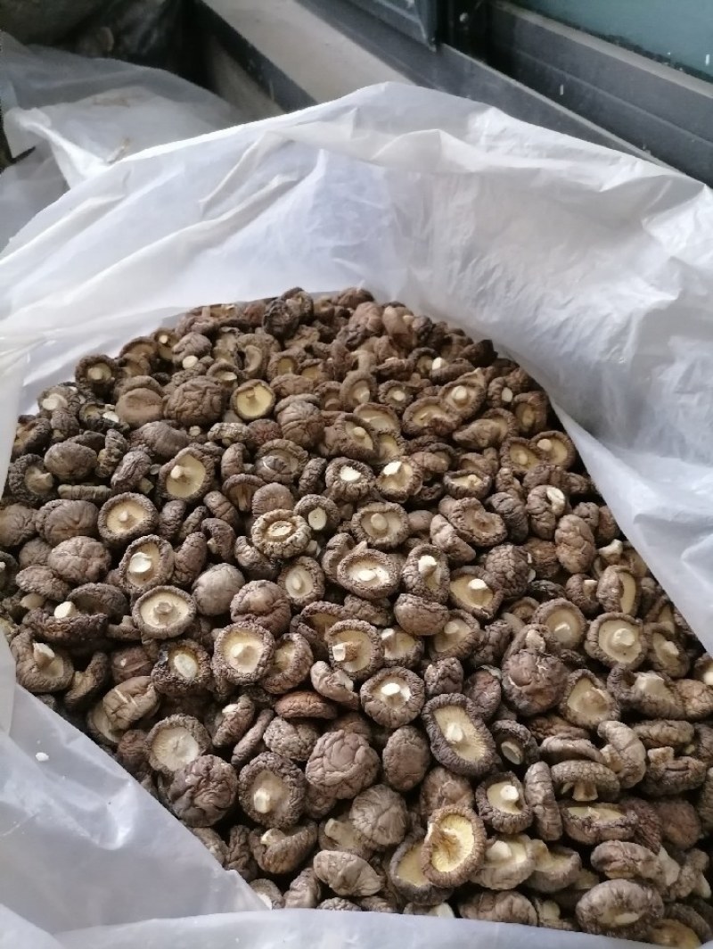 精选，干香菇