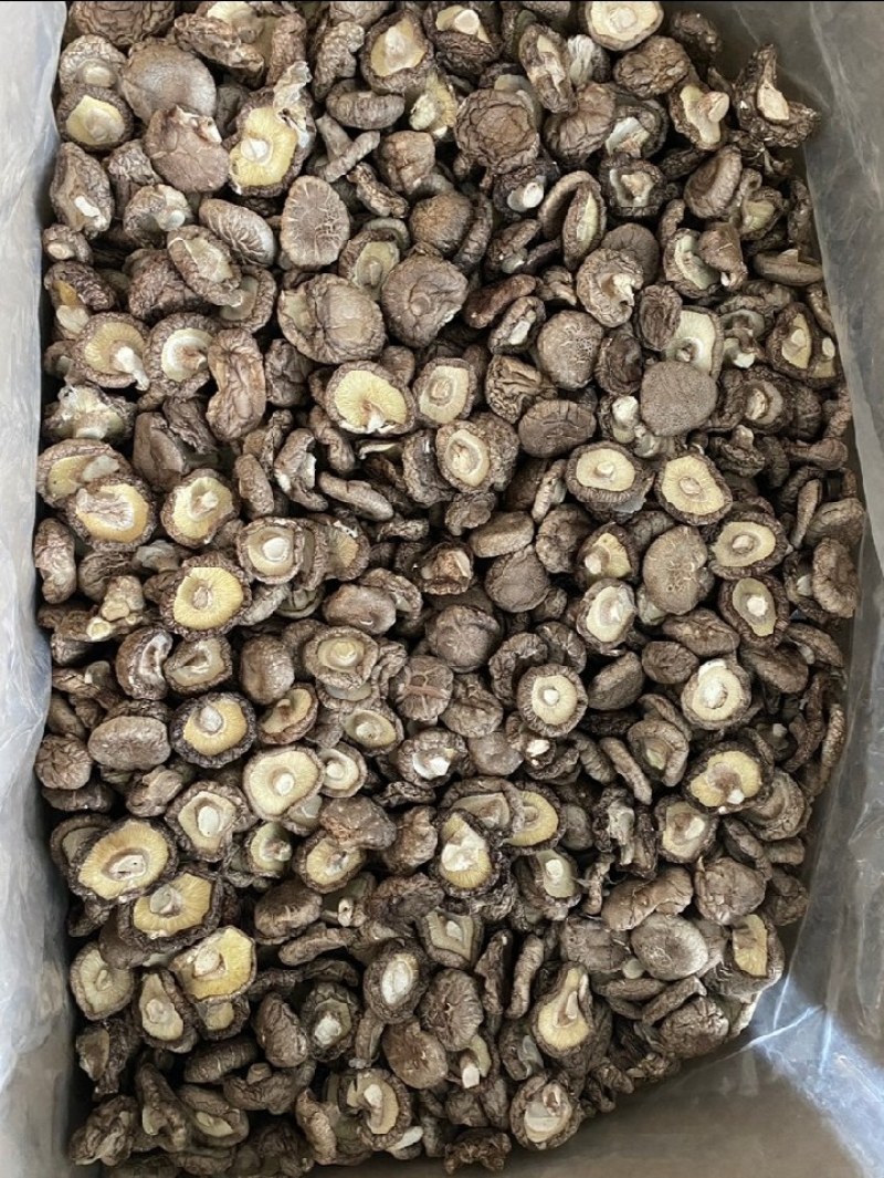 精选，干香菇