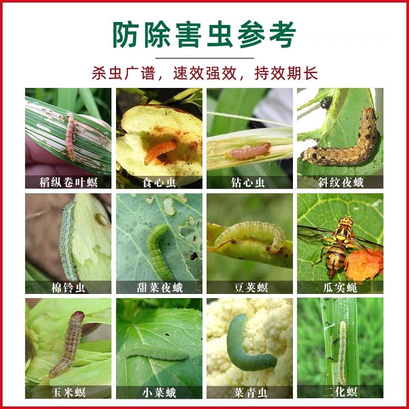 阔达16%甲维茚虫威稻纵卷叶螟吊丝虫青虫高效杀虫剂