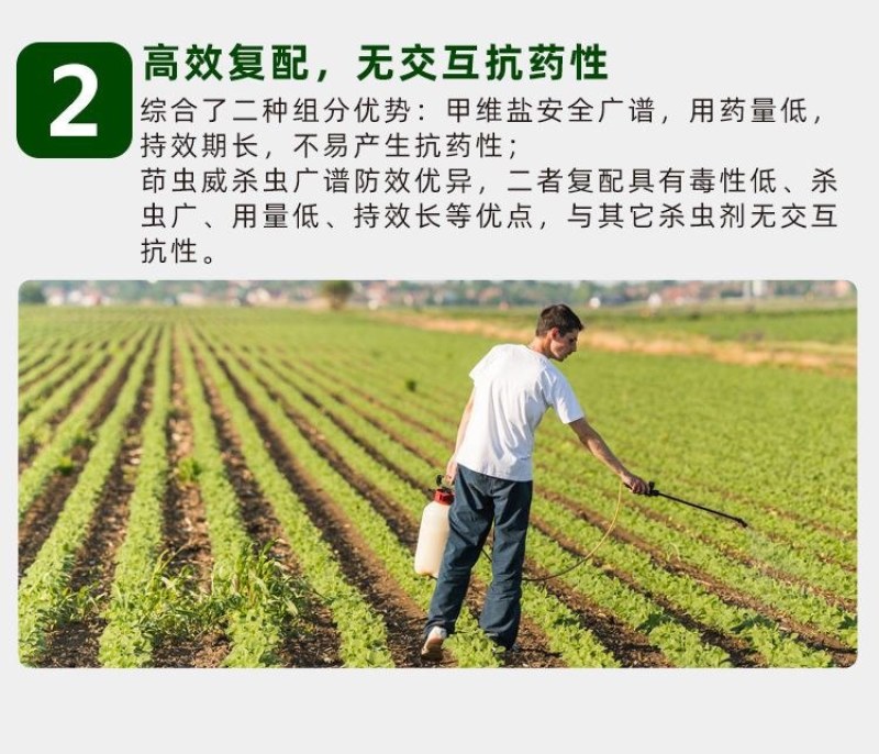 阔达16%甲维茚虫威稻纵卷叶螟吊丝虫青虫高效杀虫剂