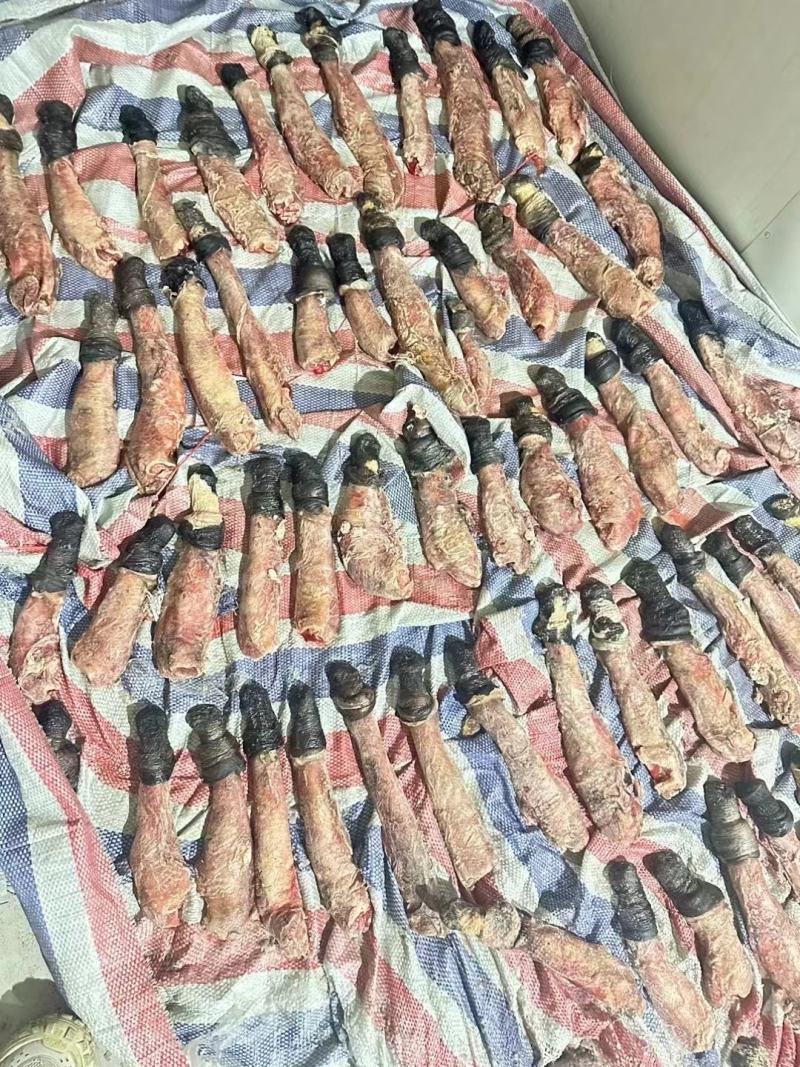 单鞭