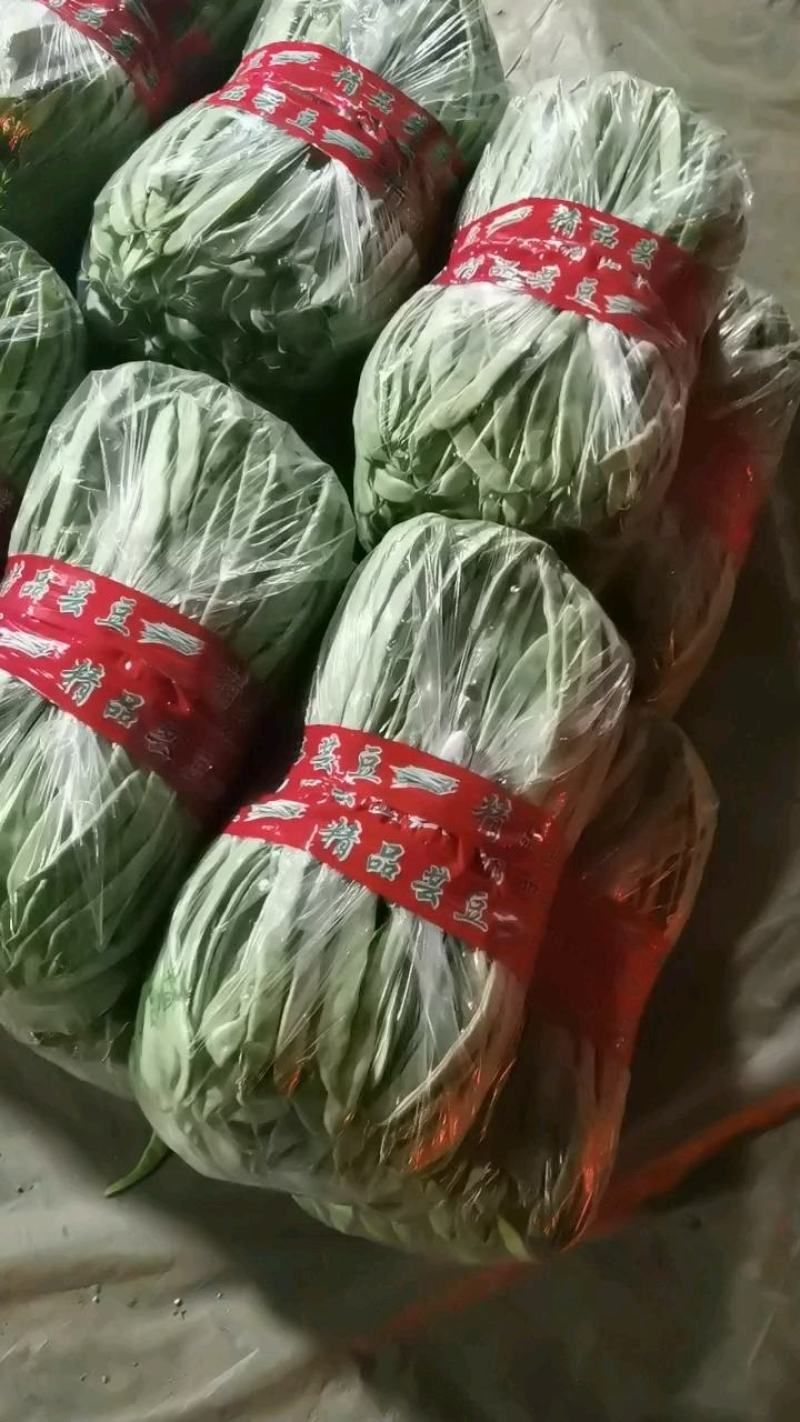 豆角莘县一手货好货次货都有表面干净