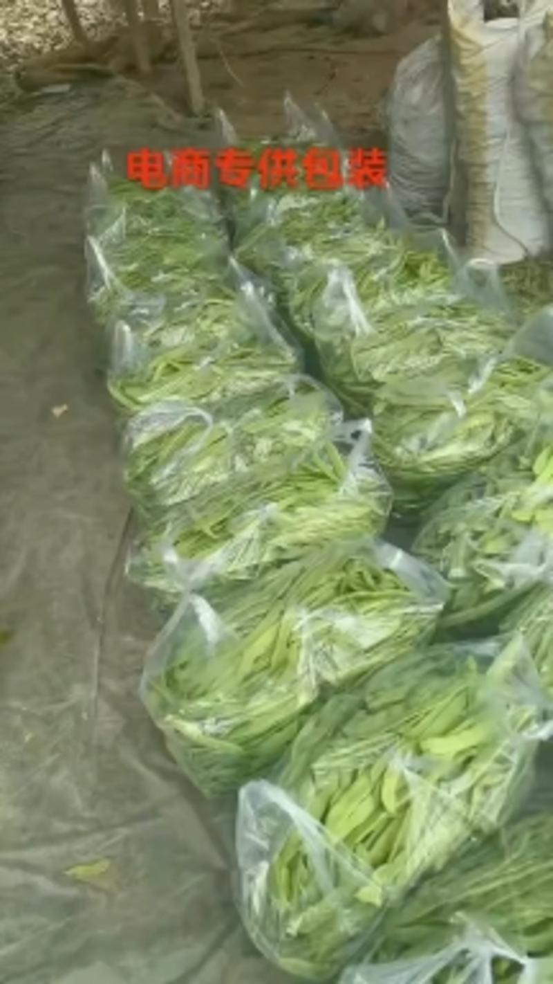 山东聊城莘县本地扁青芸豆，表面干净、按需供包装。