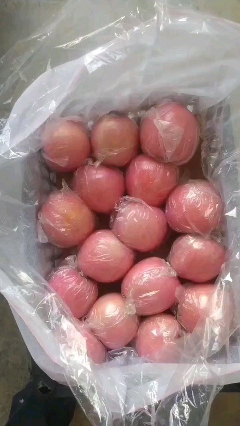 夹膜红富士
