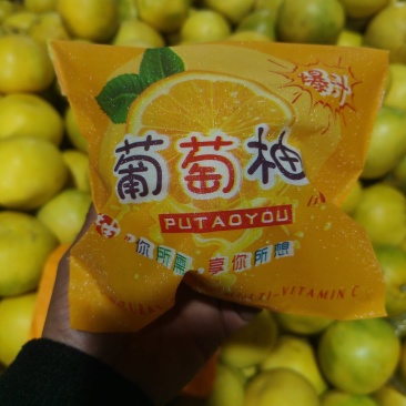 葡萄柚爆汁葡萄柚黄金葡萄柚一手货源