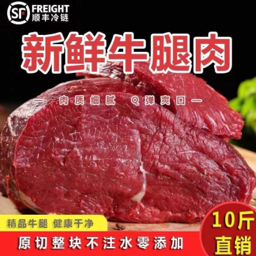 科尔沁大草原散养大黄牛腿肉